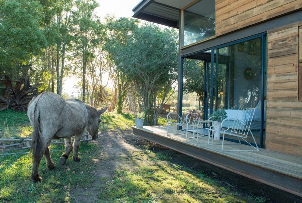 Eco Lodge Villa Villekula The Crags Ngoại thất bức ảnh